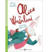 Alice in the  Wonderland