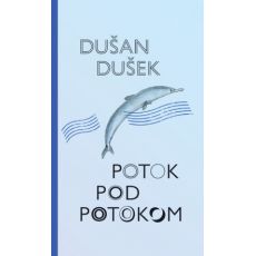 Potok pod potokom