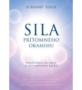 Sila prítomného okamihu-základné teórie,meditácie