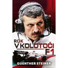 Rok v kolotoči F1