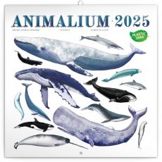 Poznámkový kalendár Animalium 2025, 30 × 30 cm