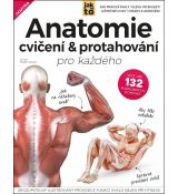 Anatomie cvičení a protahování