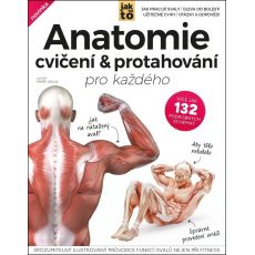 Anatomie cvičení a protahování